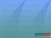 Shark Tooth (203 KB)