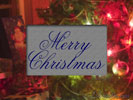 Tree Card (203 KB)
